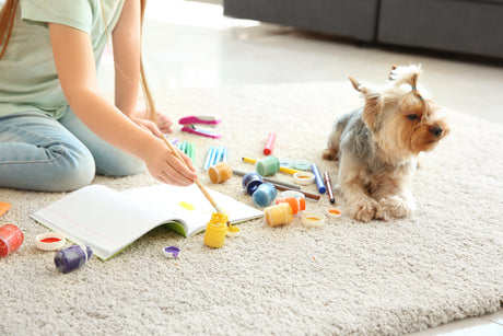 5 Signs You Need a Pet Urine Enzyme Cleaner (Not Just Any Spray)