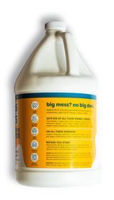 Gallon Instant All-Purpose Stain & Odor Remover
