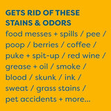 Large bottle of KidsNPets stain and odor spray with yellow label listing various stain types it treats.